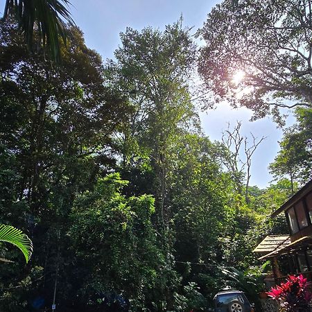 Cool Waters Jungle Villas Uvita Dış mekan fotoğraf