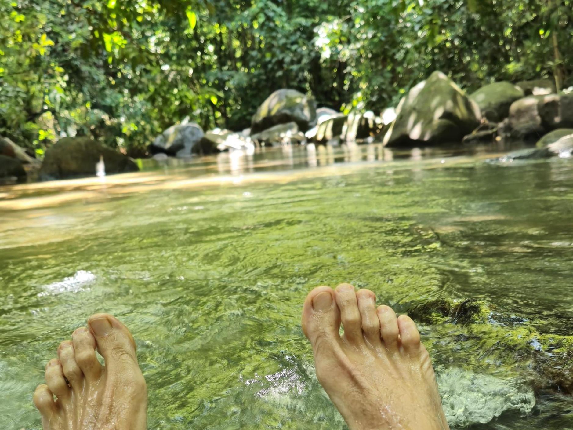Cool Waters Jungle Villas Uvita Dış mekan fotoğraf