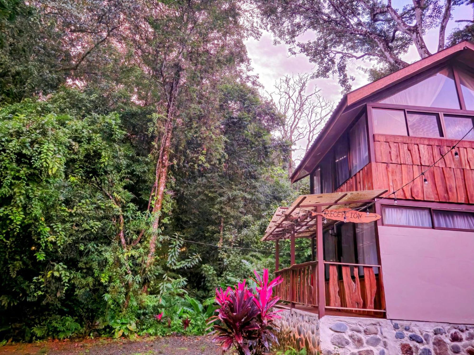 Cool Waters Jungle Villas Uvita Dış mekan fotoğraf