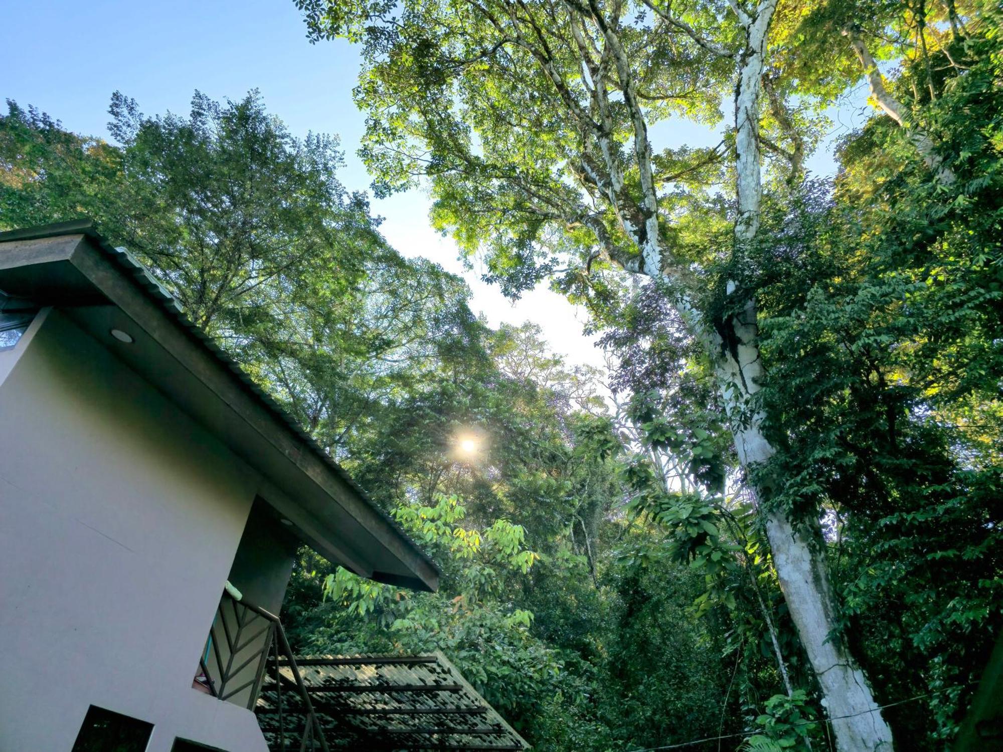 Cool Waters Jungle Villas Uvita Dış mekan fotoğraf