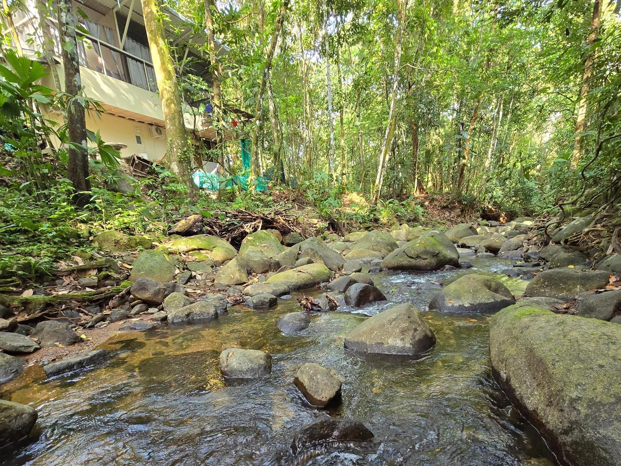 Cool Waters Jungle Villas Uvita Dış mekan fotoğraf