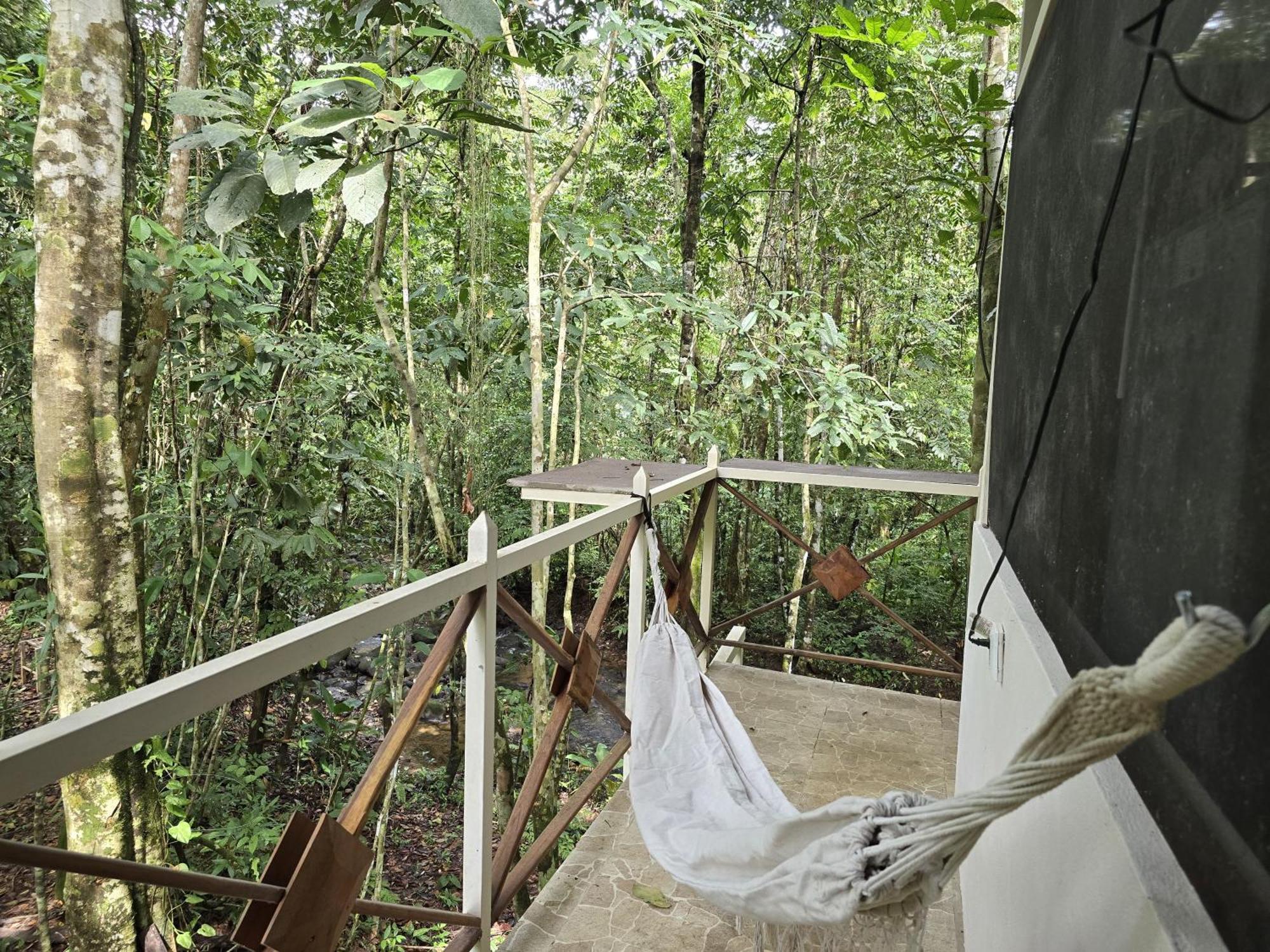 Cool Waters Jungle Villas Uvita Dış mekan fotoğraf